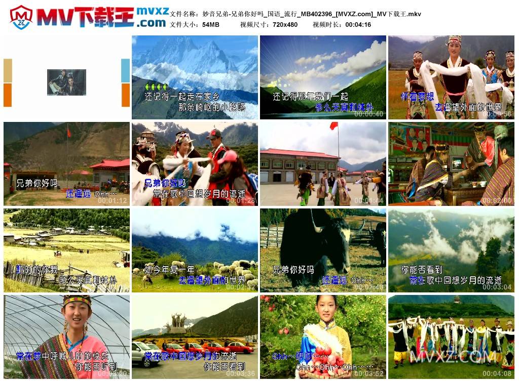 妙音兄弟-兄弟你好吗_国语_流行_MB402396